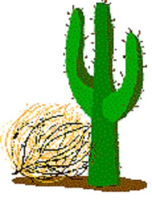 cactus with sagebrush