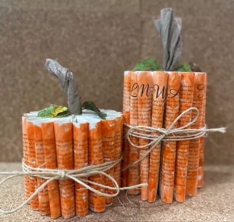 Adult Craft Class